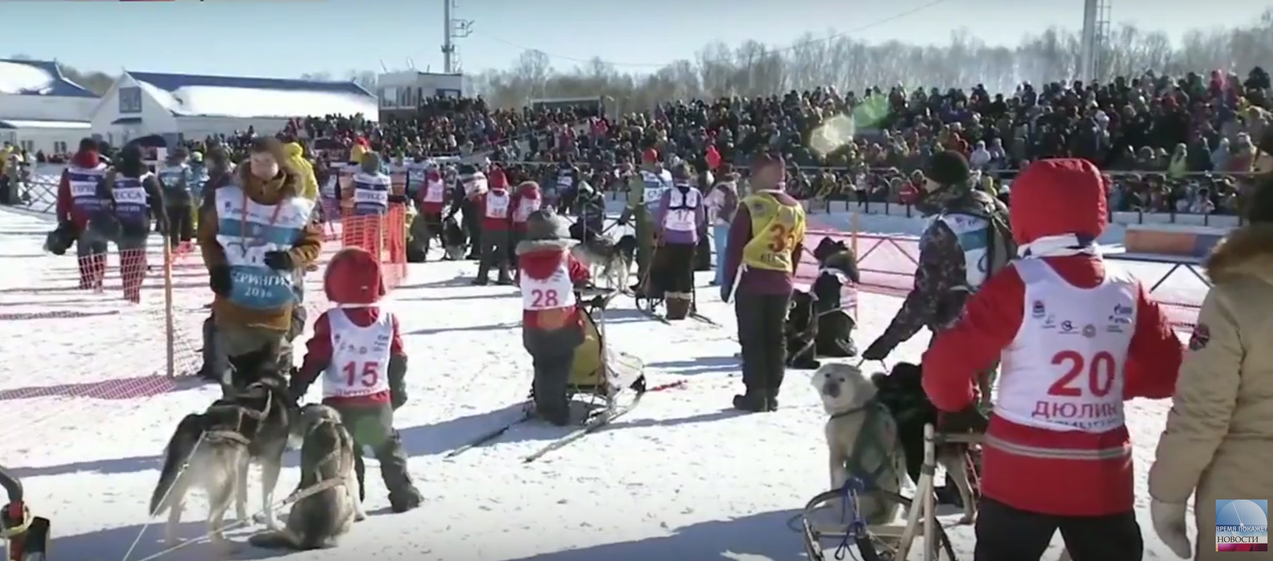 На Камчатки отворена трка паса „Берингија 2016“ (ВИДЕО)